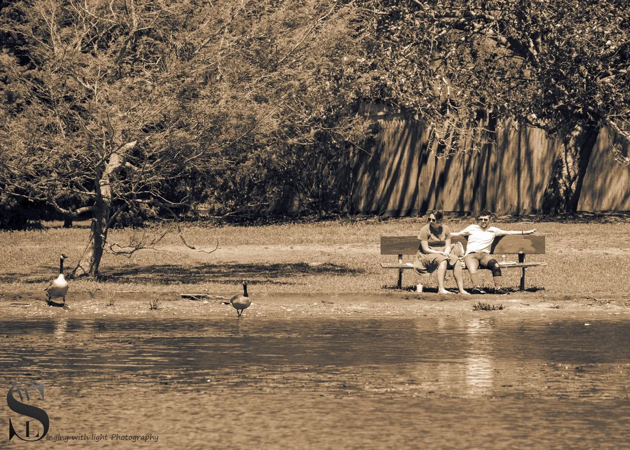 mono in Park_-2.jpg