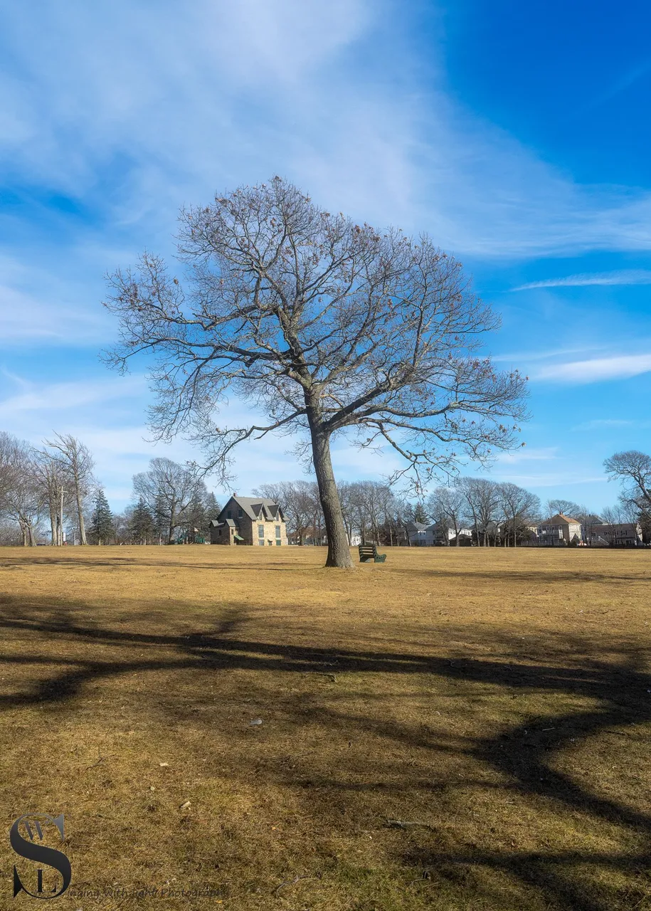 Shadows hazelwood park_-5.jpg