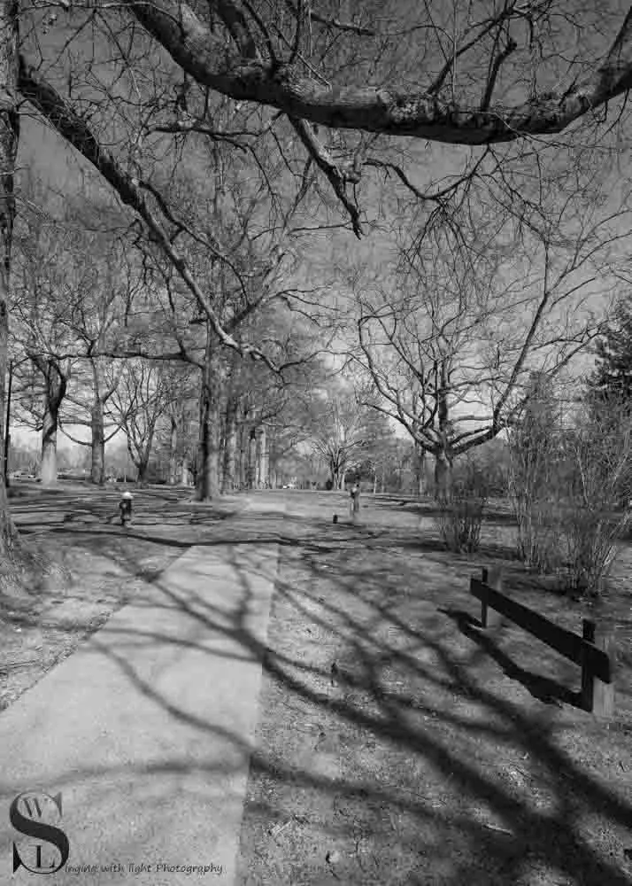 recent mono-5.jpg