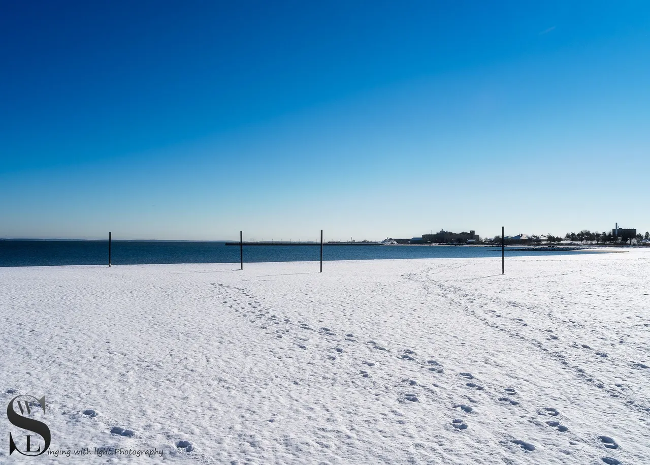 snow day-14.jpg