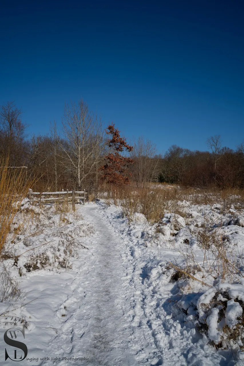 snow day-3.jpg