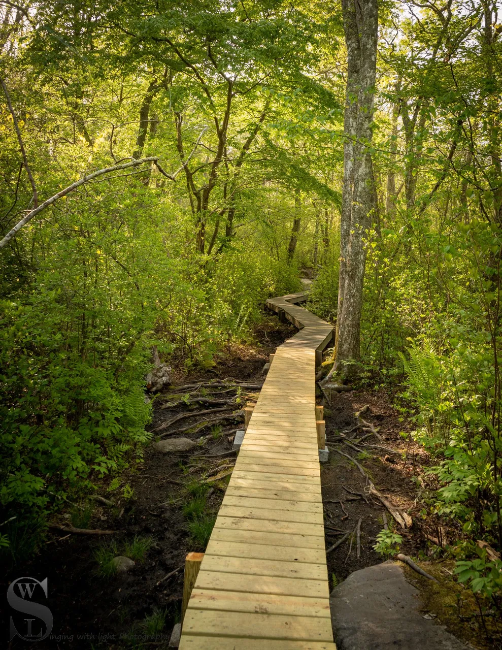 ww Knowles reserve-2.jpg