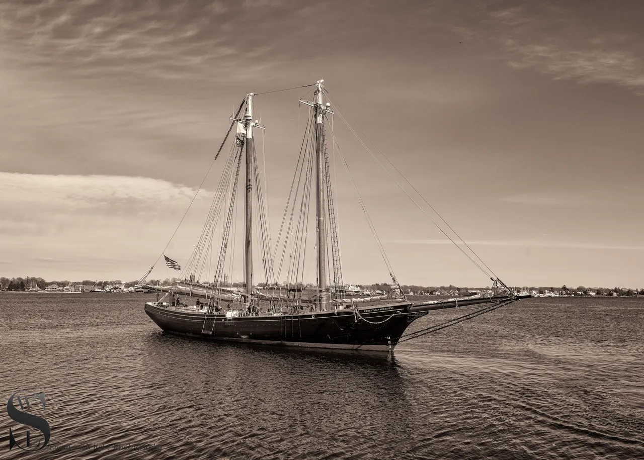 Ernestina morrisey in MONo-3.jpg