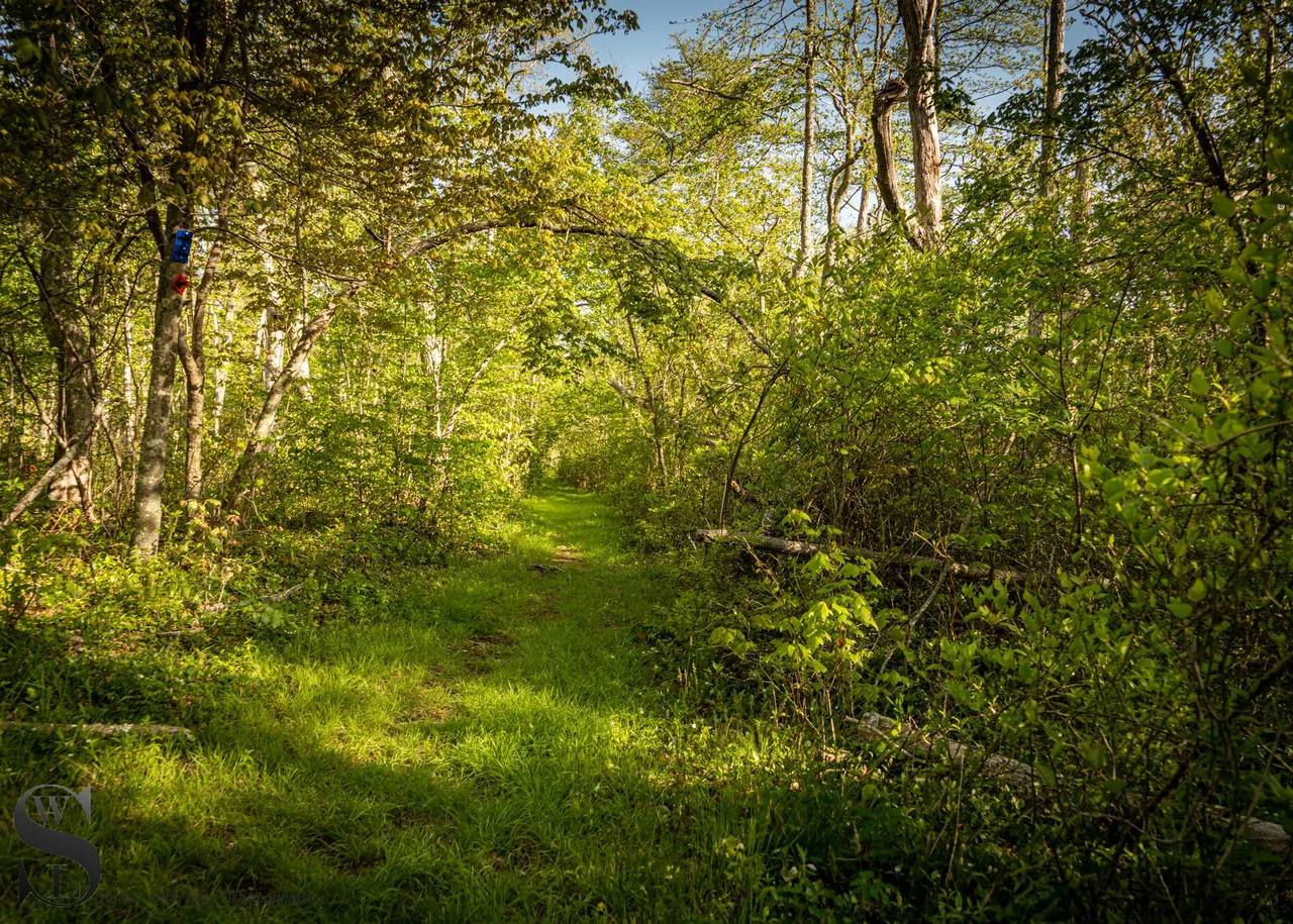 ww Knowles reserve-4.jpg