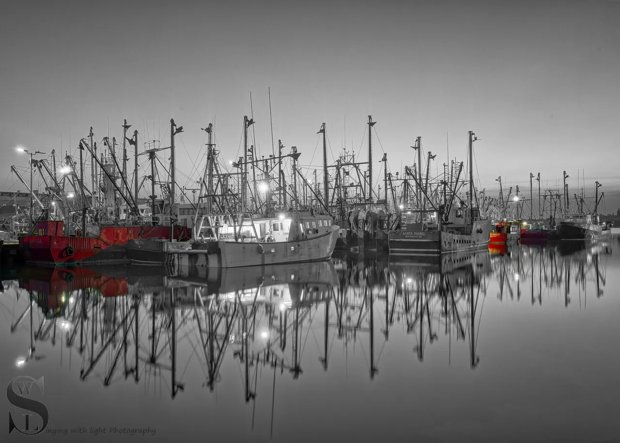 mono and a splash of color-3.jpg