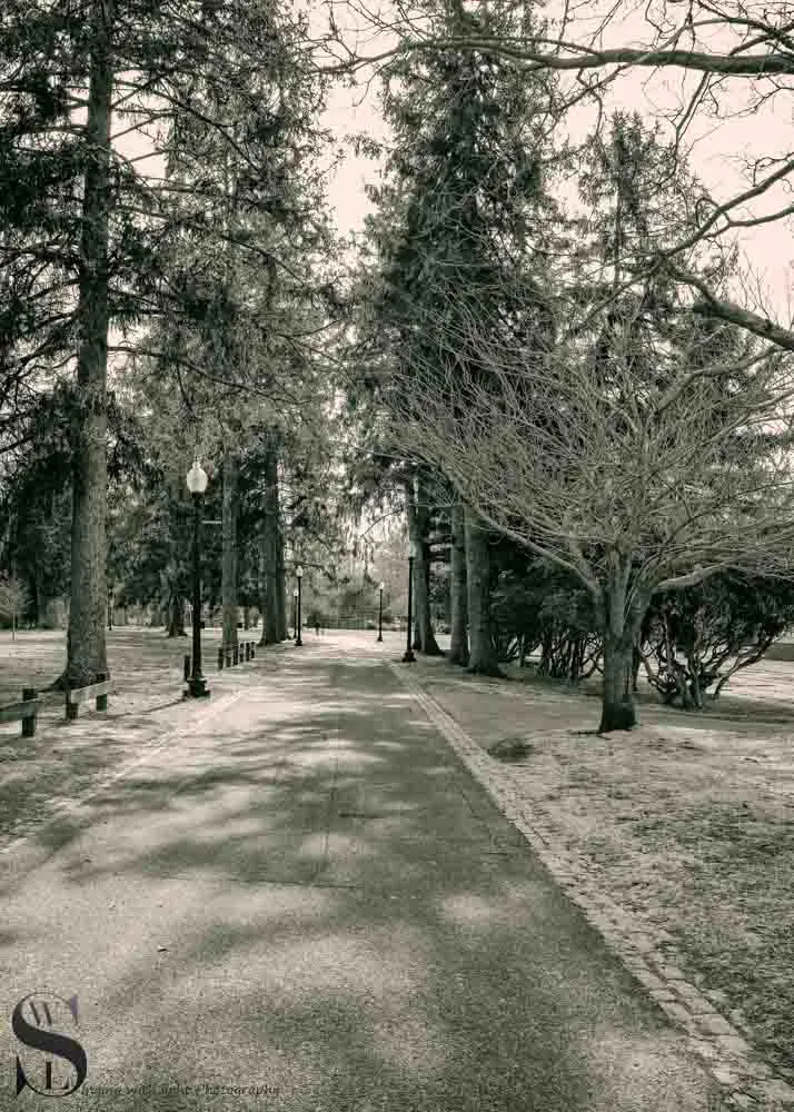 mono bw park-2.jpg