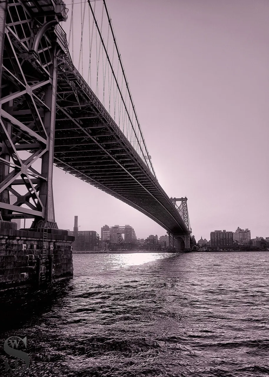 mono NYC-5.jpg