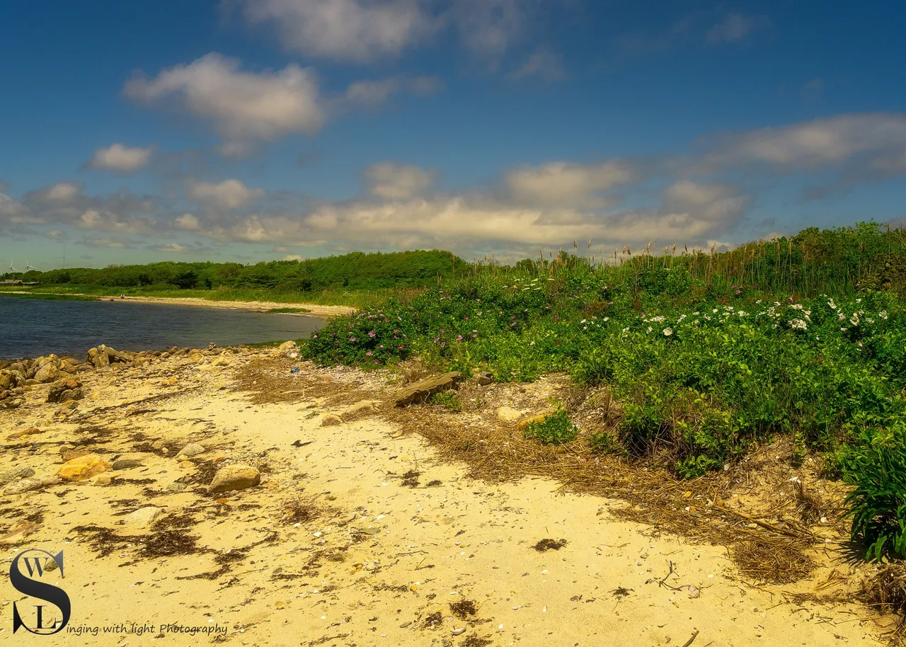ww Winsegansett marshes the beach-2.jpg