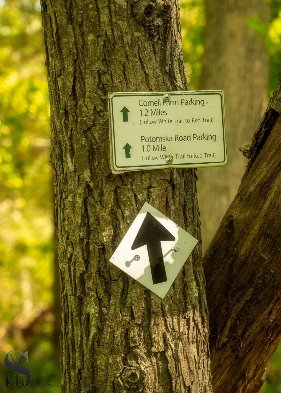 ww Knowles reserve-6.jpg