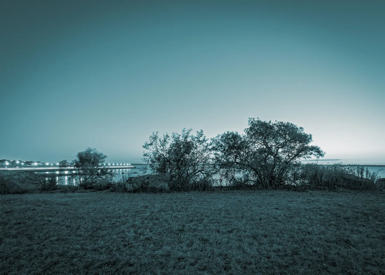 trees-4.jpg