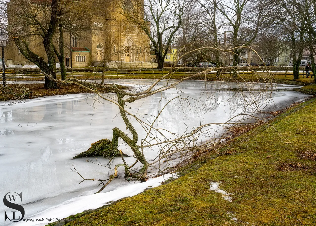 icy pond-1.jpg