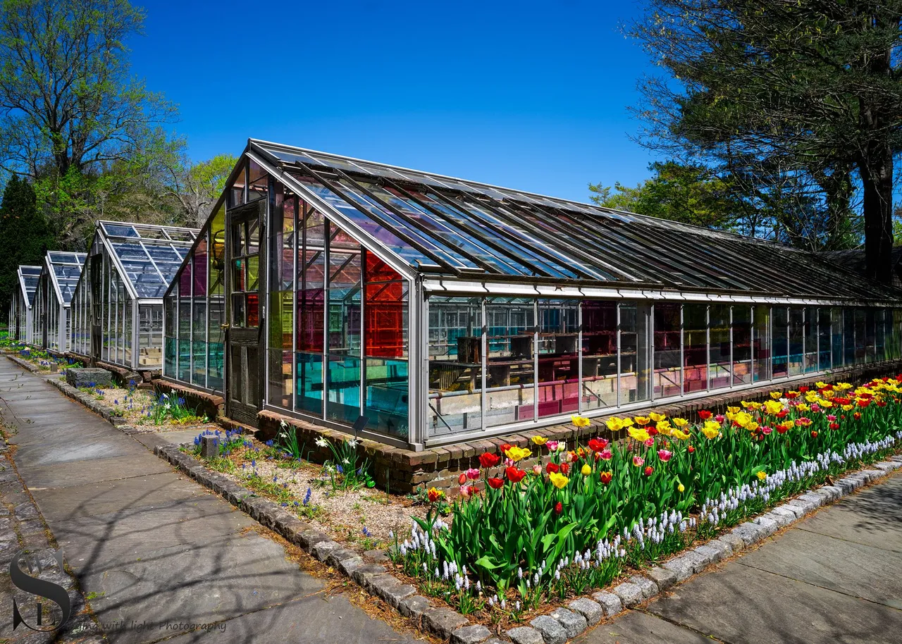 haskell gardens-4.jpg