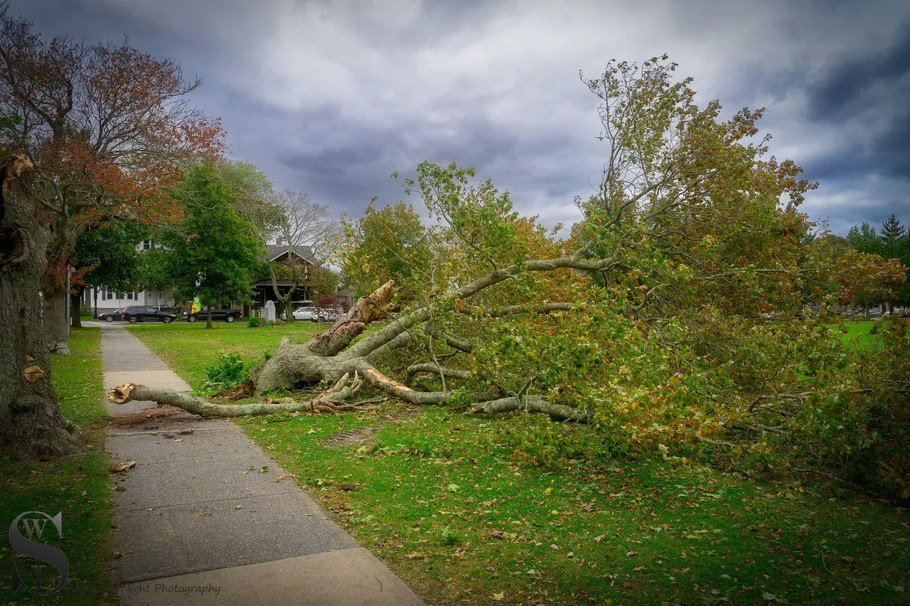 bp after storm-4.jpg