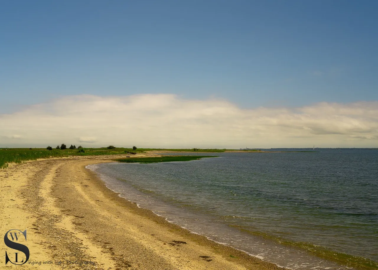 ww Winsegansett marshes the beach-1.jpg