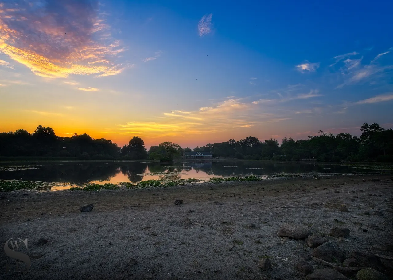 pond water low-5.jpg