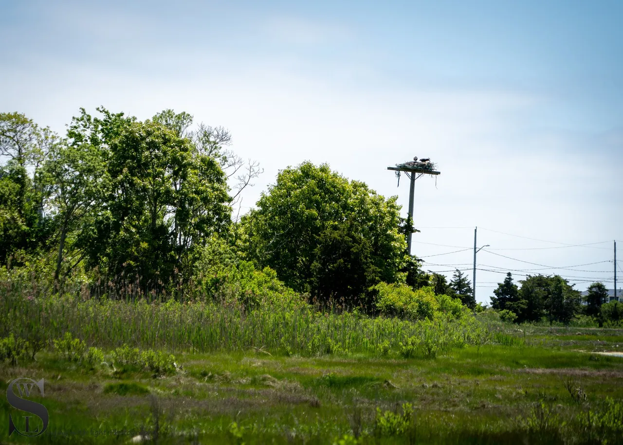 ww Winsegansett marshes the beach-9.jpg