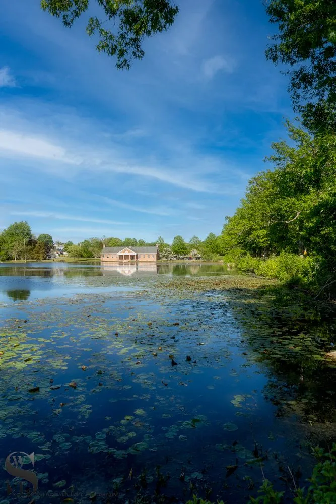 pond at Buttonwood Park-4.jpg