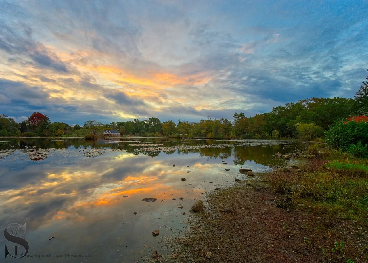 around the pond-6.jpg