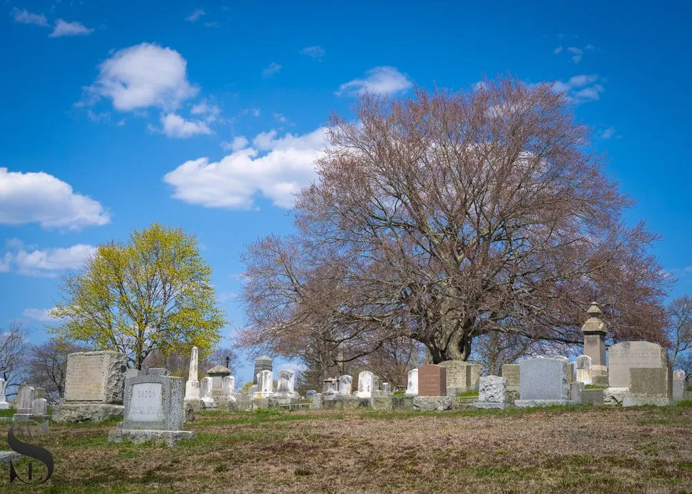 walk through cemerery 1-3.jpg