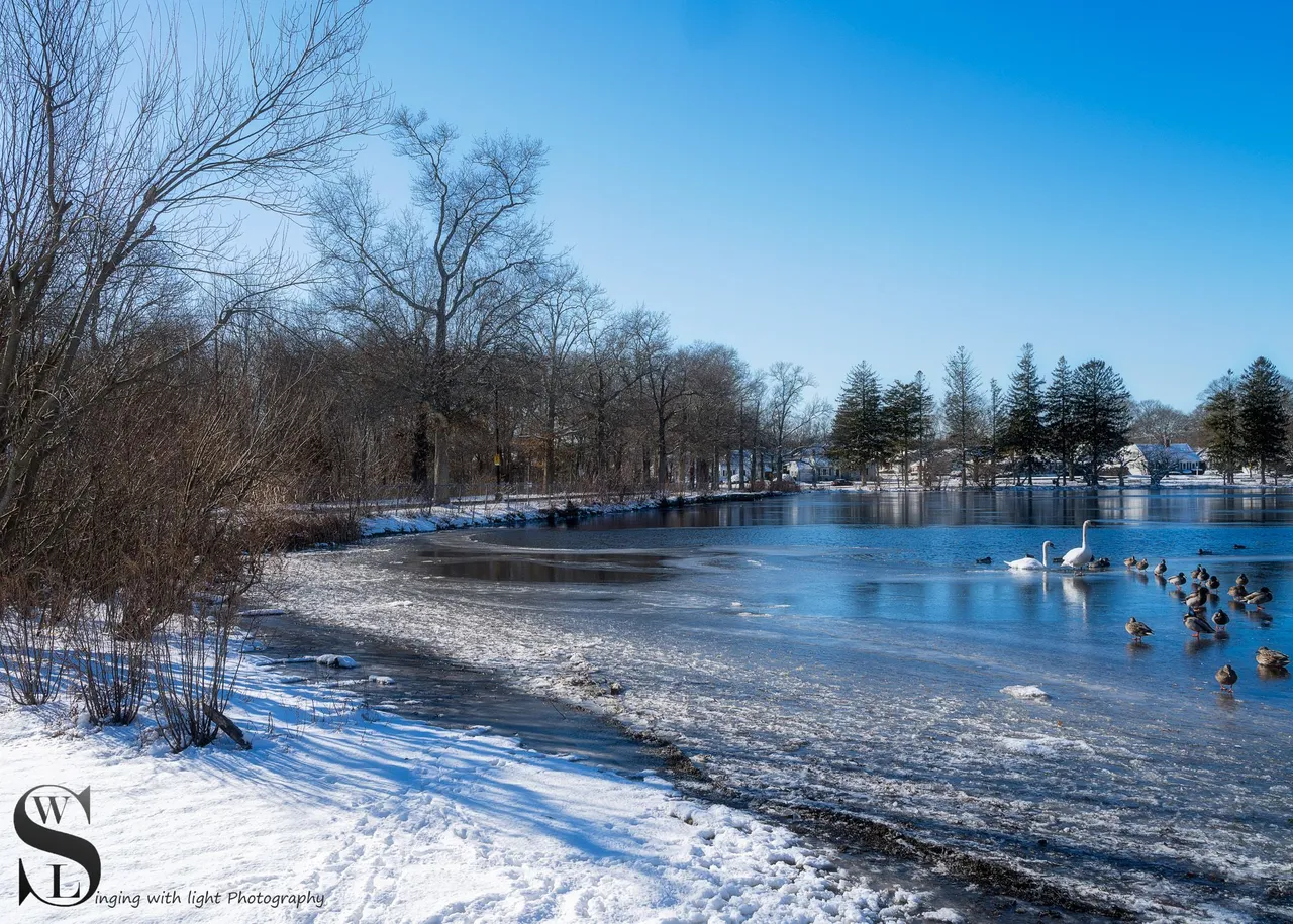 snow day-9.jpg