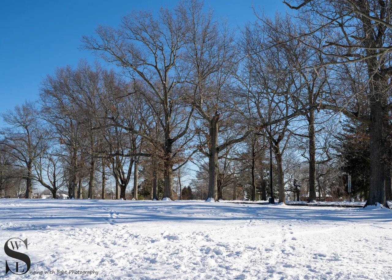 snow day-10.jpg