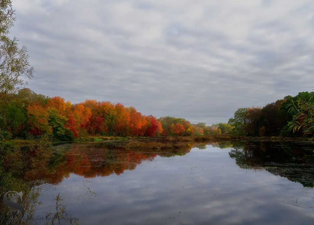 fall colors sawmill.jpg