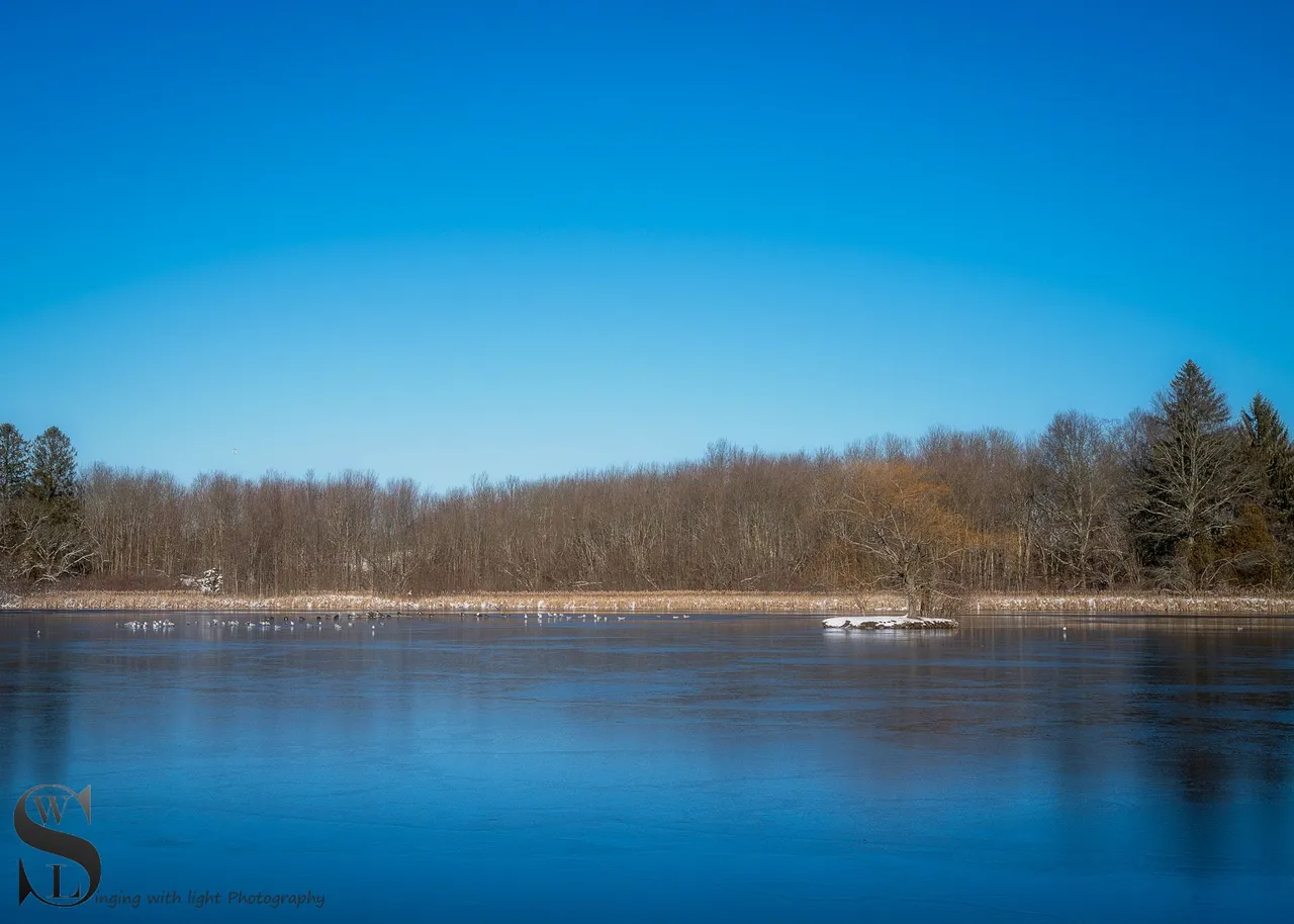 snow day-11.jpg