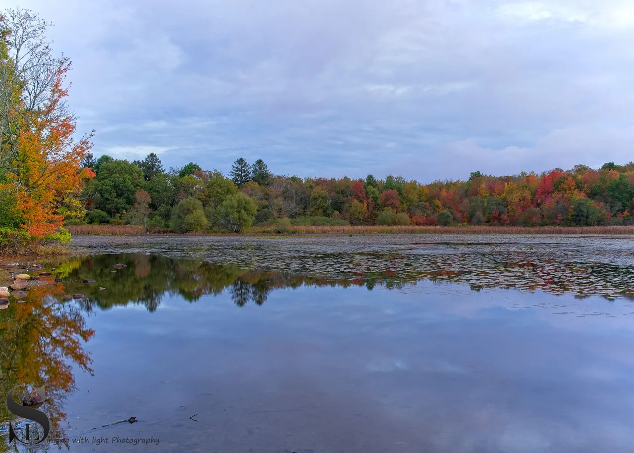 around the pond-4.jpg