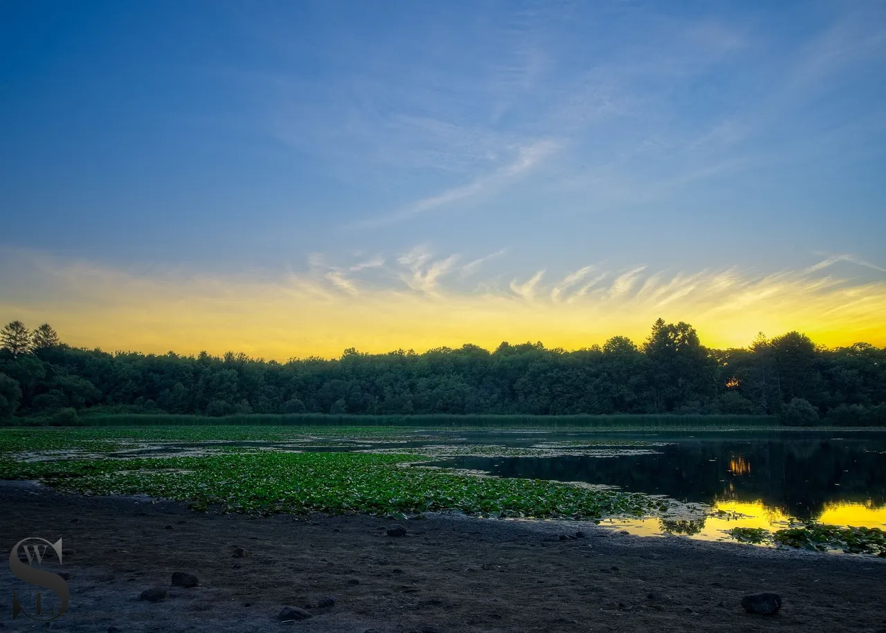 pond water low.jpg