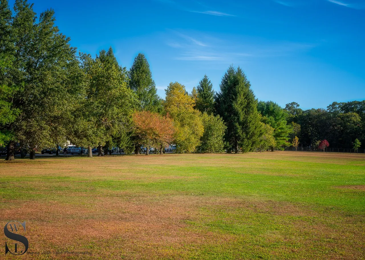 fall buttoonwood park-4.jpg