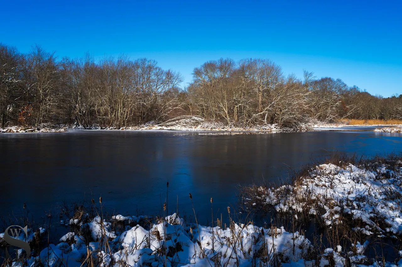 snow day-6.jpg