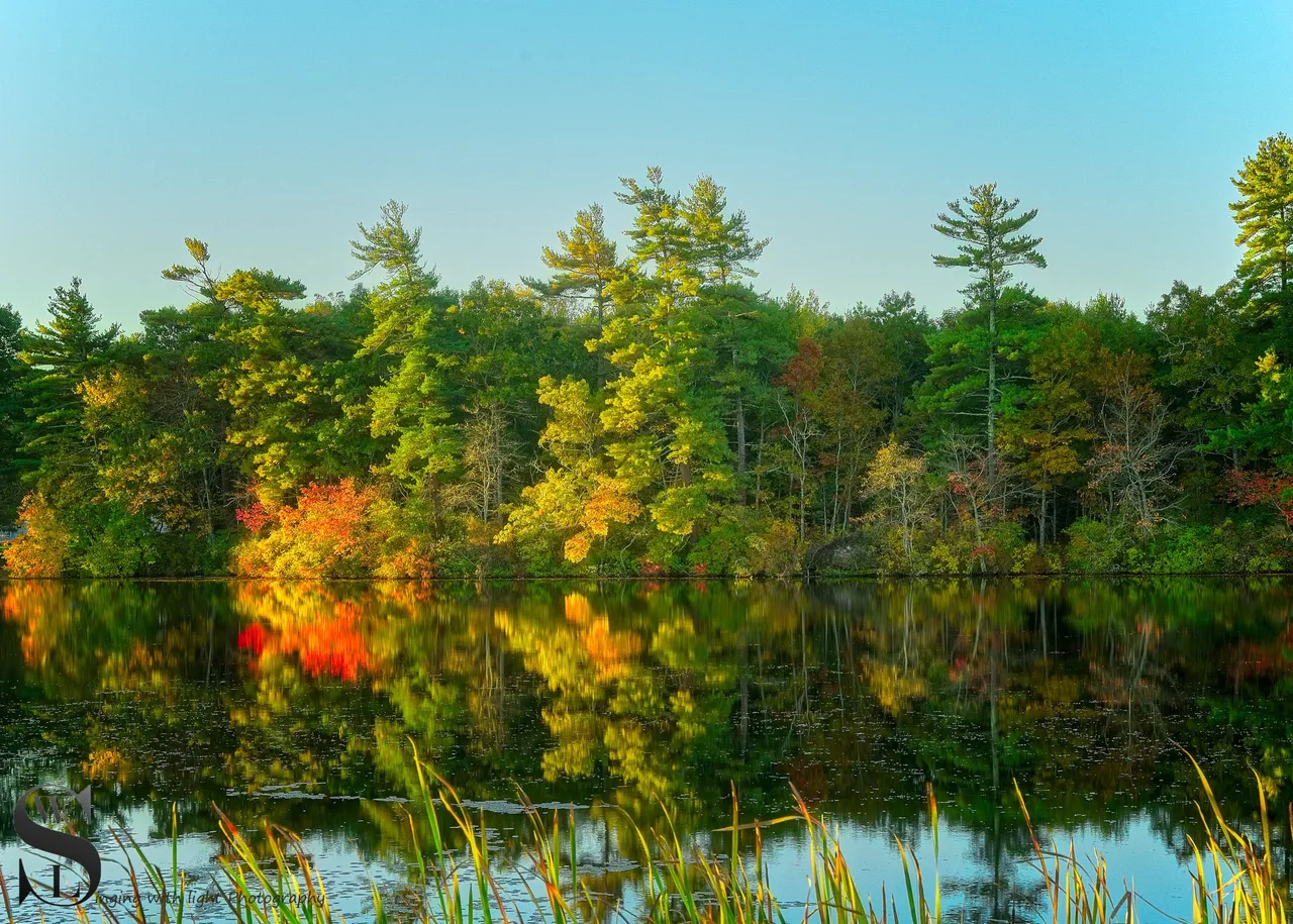 more fall colors_-5.jpg