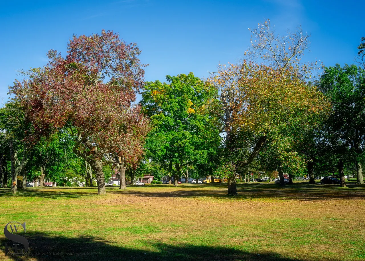 buttonwood park-3.jpg