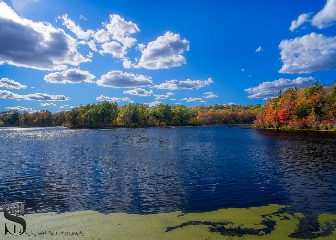 WW turners pond.jpg