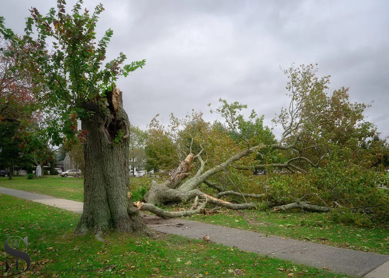 bp after storm-5.jpg