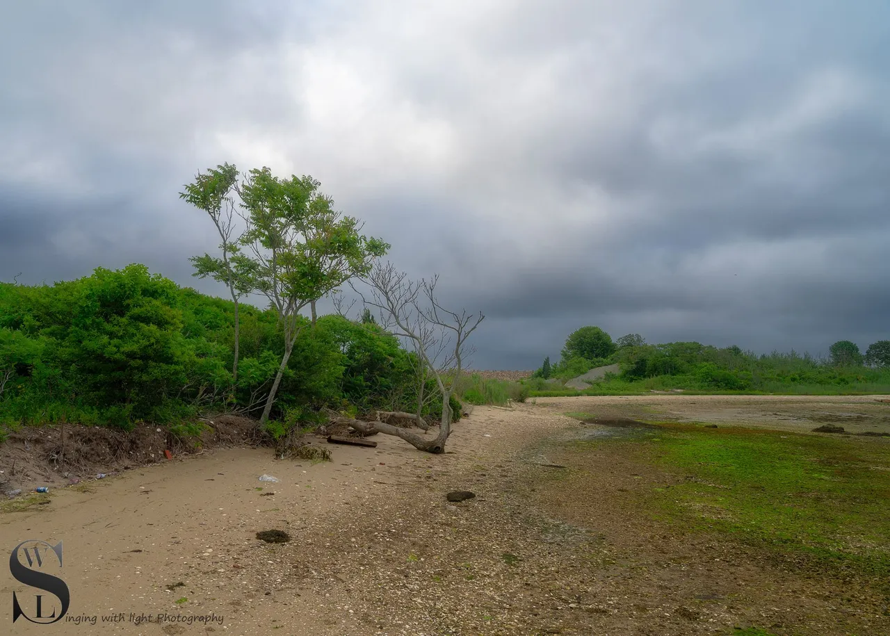 ww Out to Palmers Island-9.jpg