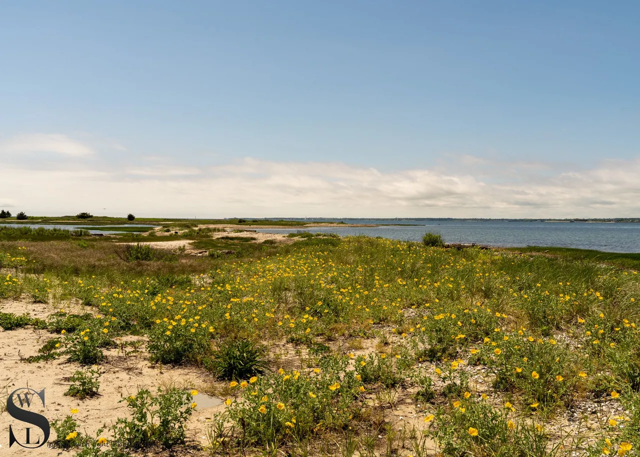 ww Winsegansett marshes the beach-7.jpg