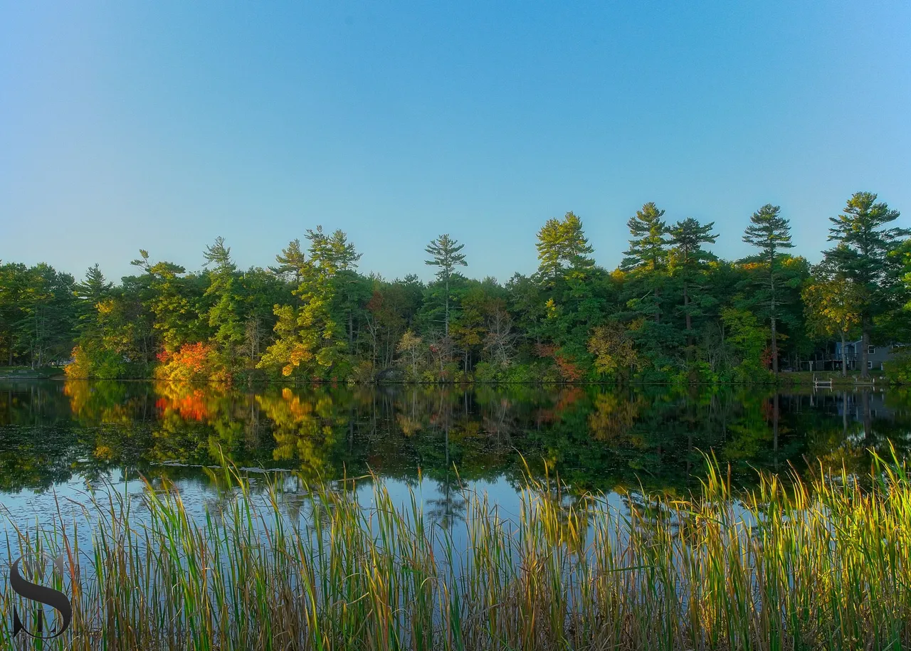 more fall colors_-4.jpg