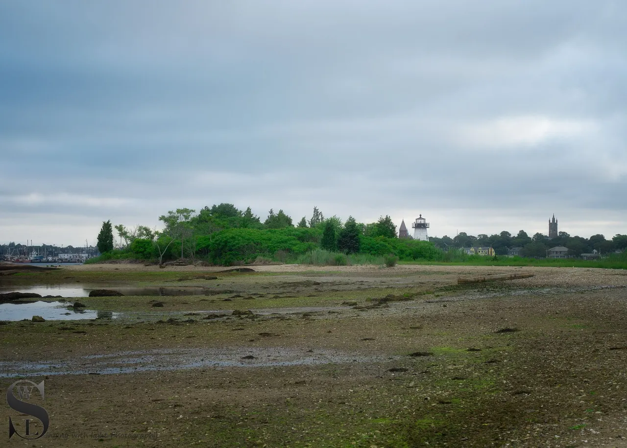 ww Out to Palmers Island-6.jpg