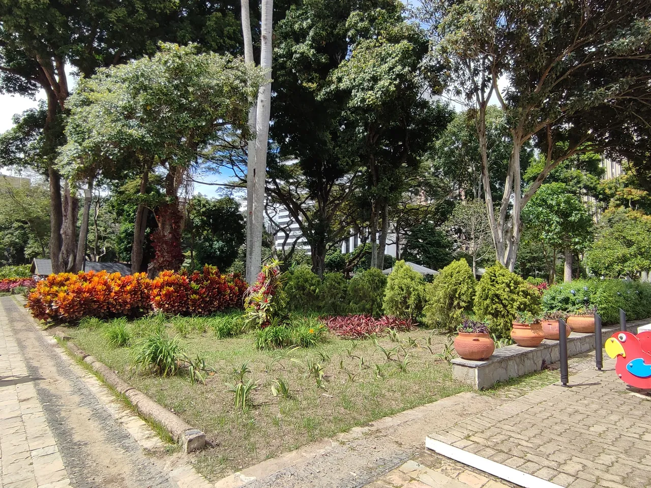 IMG_20211218_131718.jpg