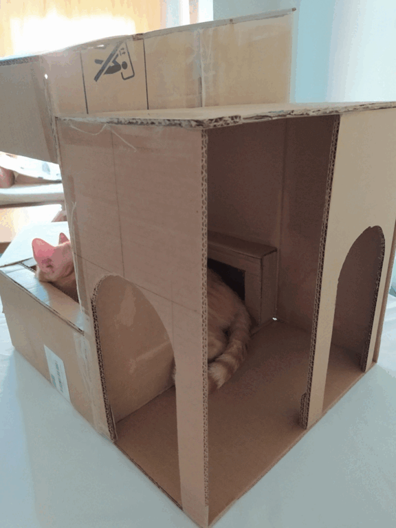 1743882775832 (1).gif