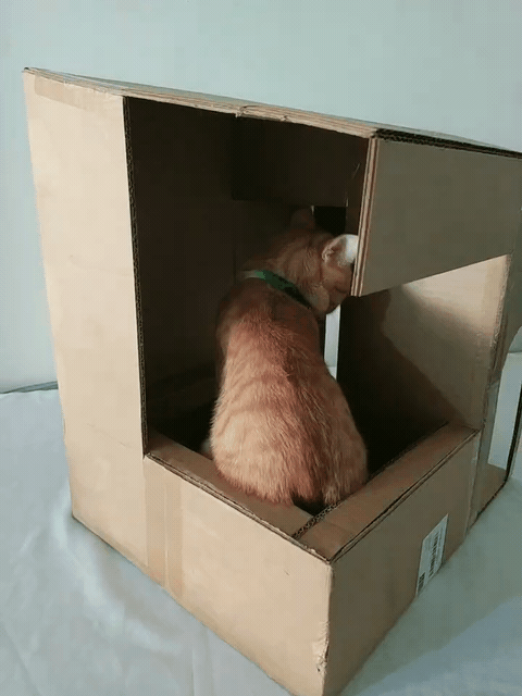 1743882775847.gif