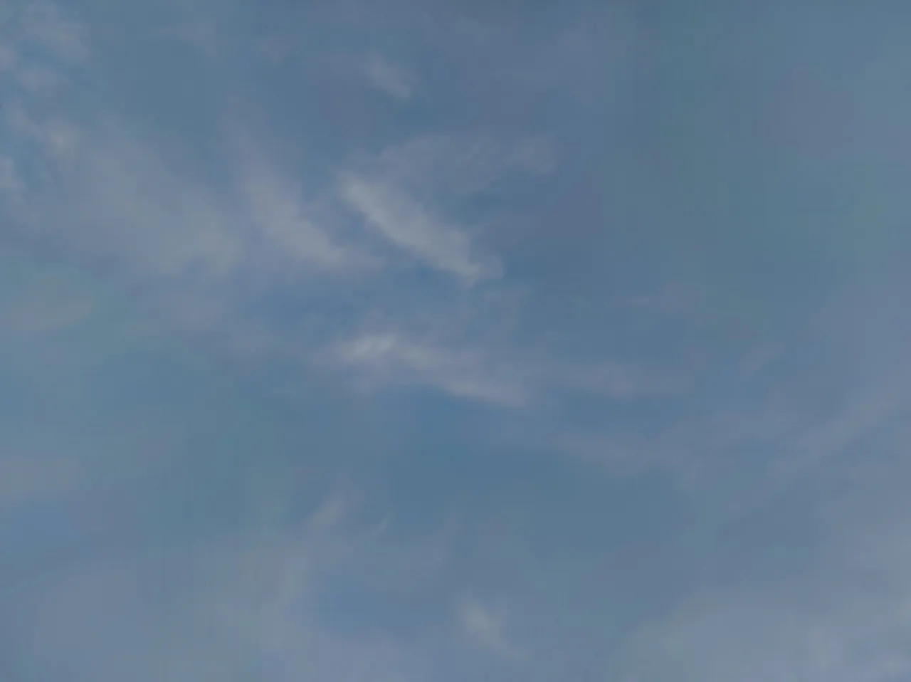 1741705806395.jpg