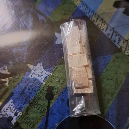 10 1g Valcambi Suisse Silver Bars in a bag.