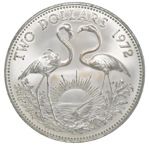 bahama flamingo re.png