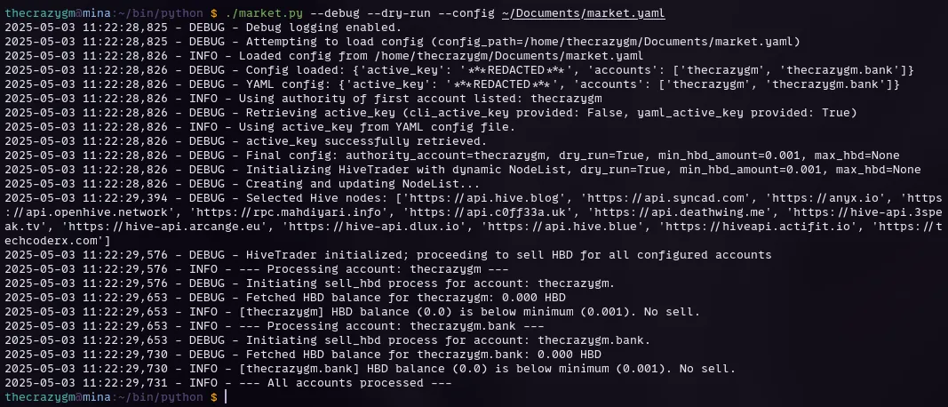 Debug run output
