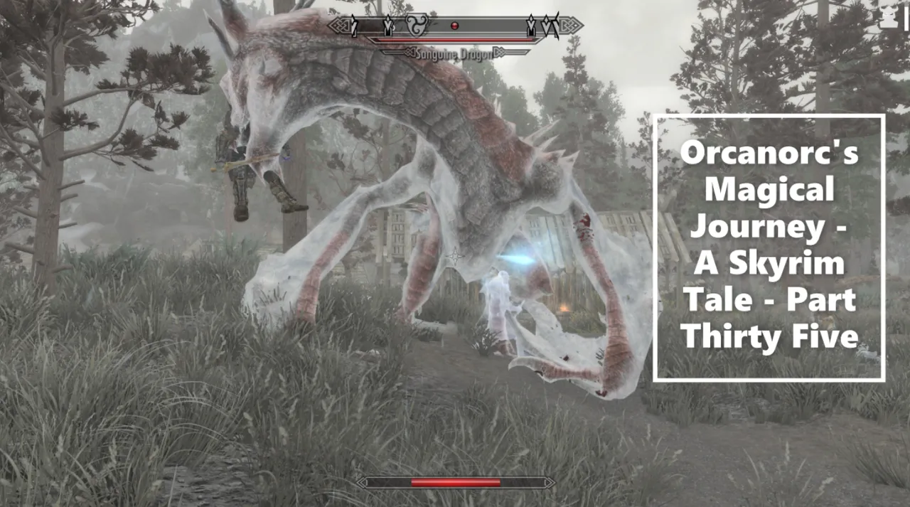 The Elder Scrolls V  Skyrim Special Edition Screenshot 2025.03.05 - 19.47.20.72 b.png