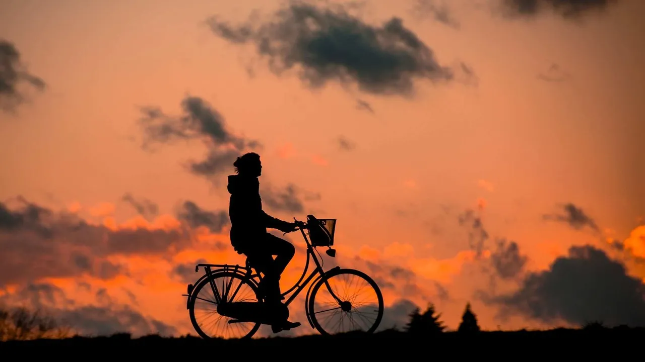 silhouette-683751_1280.jpg