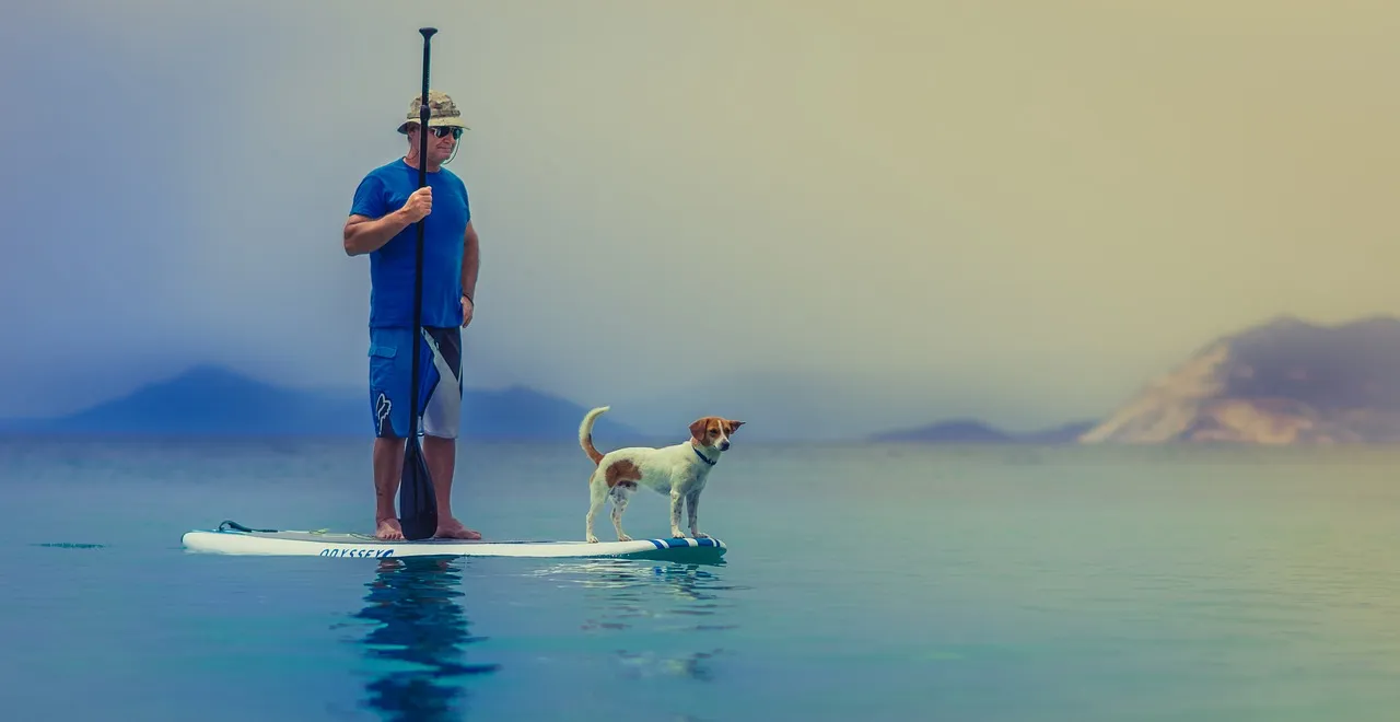 standup-paddleboarding-g40f533e07_1280.jpg