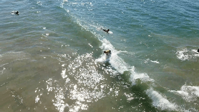 20181020_122248_1.gif
